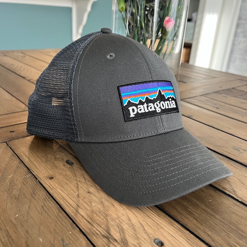 Patagonia trucker hat